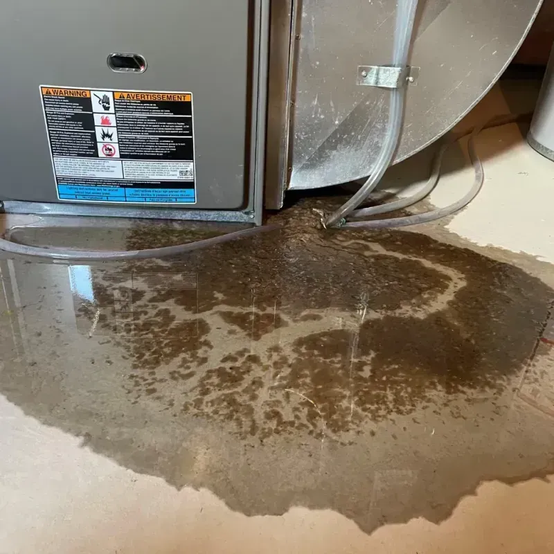 Appliance Leak Cleanup in Midway, PA